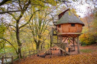 Treehouses &amp; natural Homes image