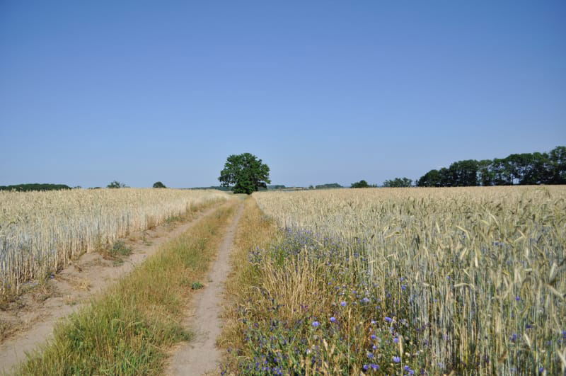 NATUR- UND LANDSCHAFTSSCHUTZ