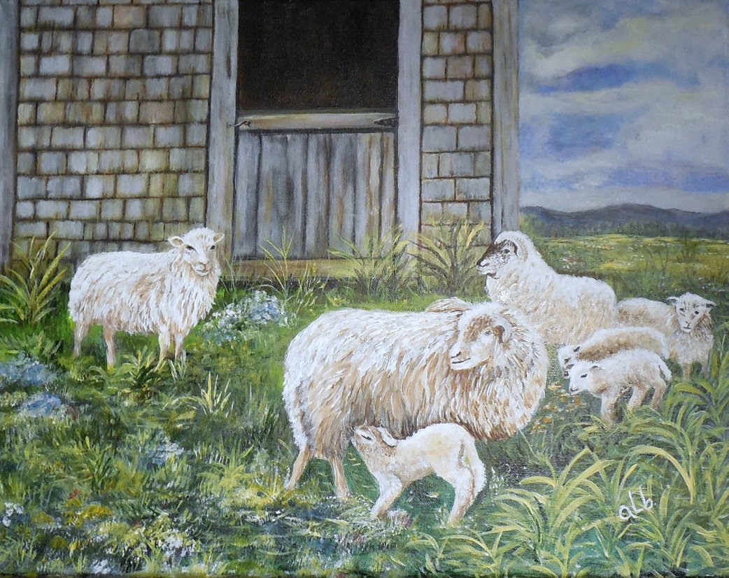Les moutons près de la bergerie