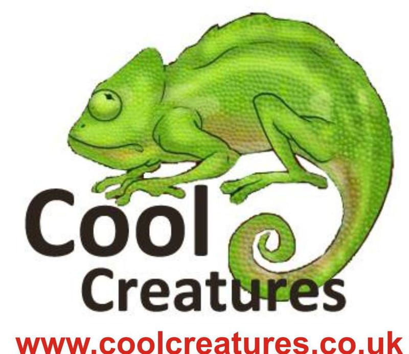 Cool Creatures -