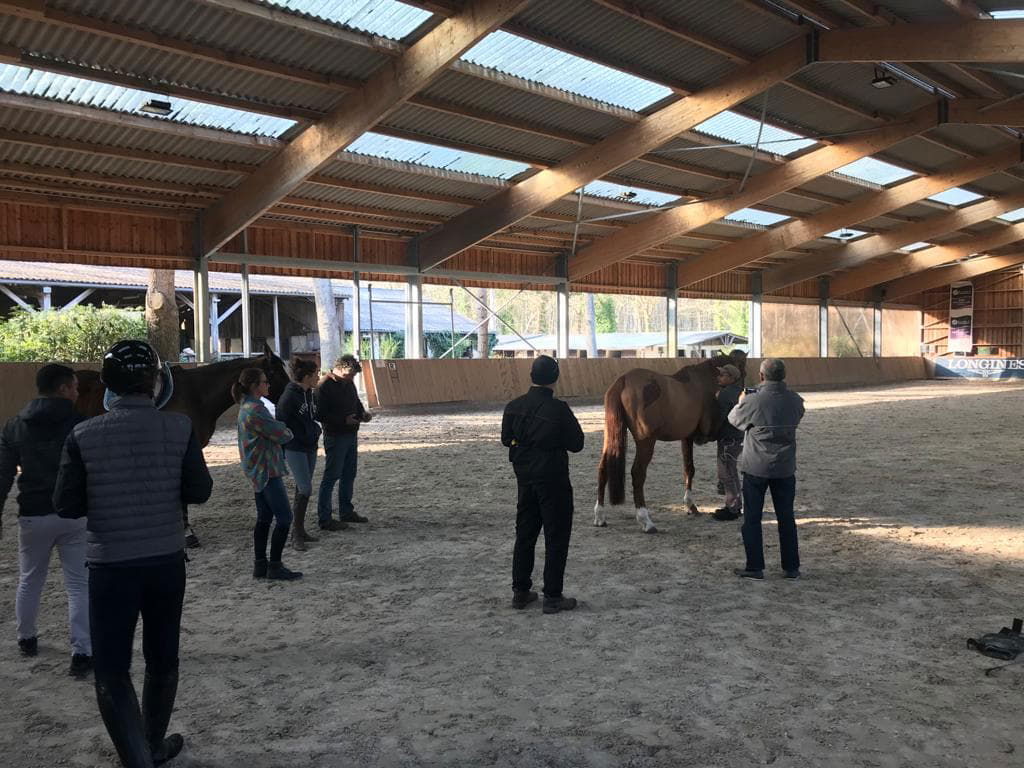 Présentation chevaux