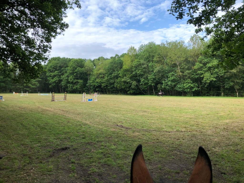 Piste en herbe