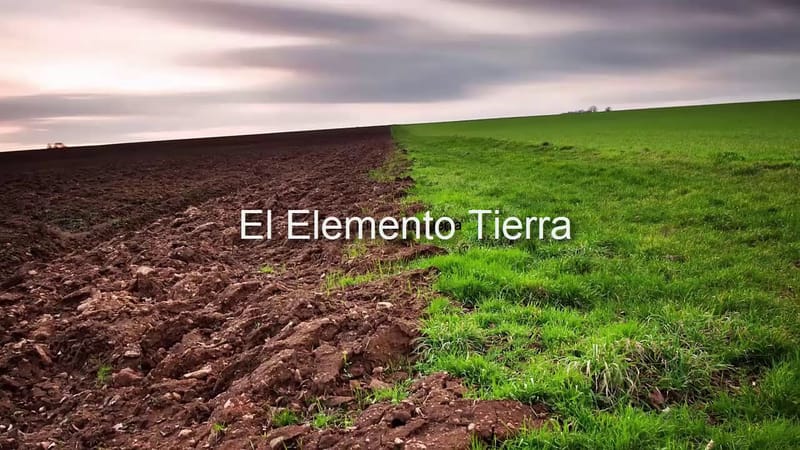 El elemento tierra: Tauro, Virgo y Capricornio - Cosmobiología Concordia