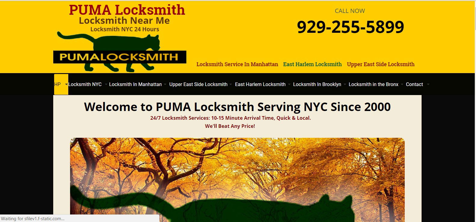 Puma Locksmith Brooklyn NY