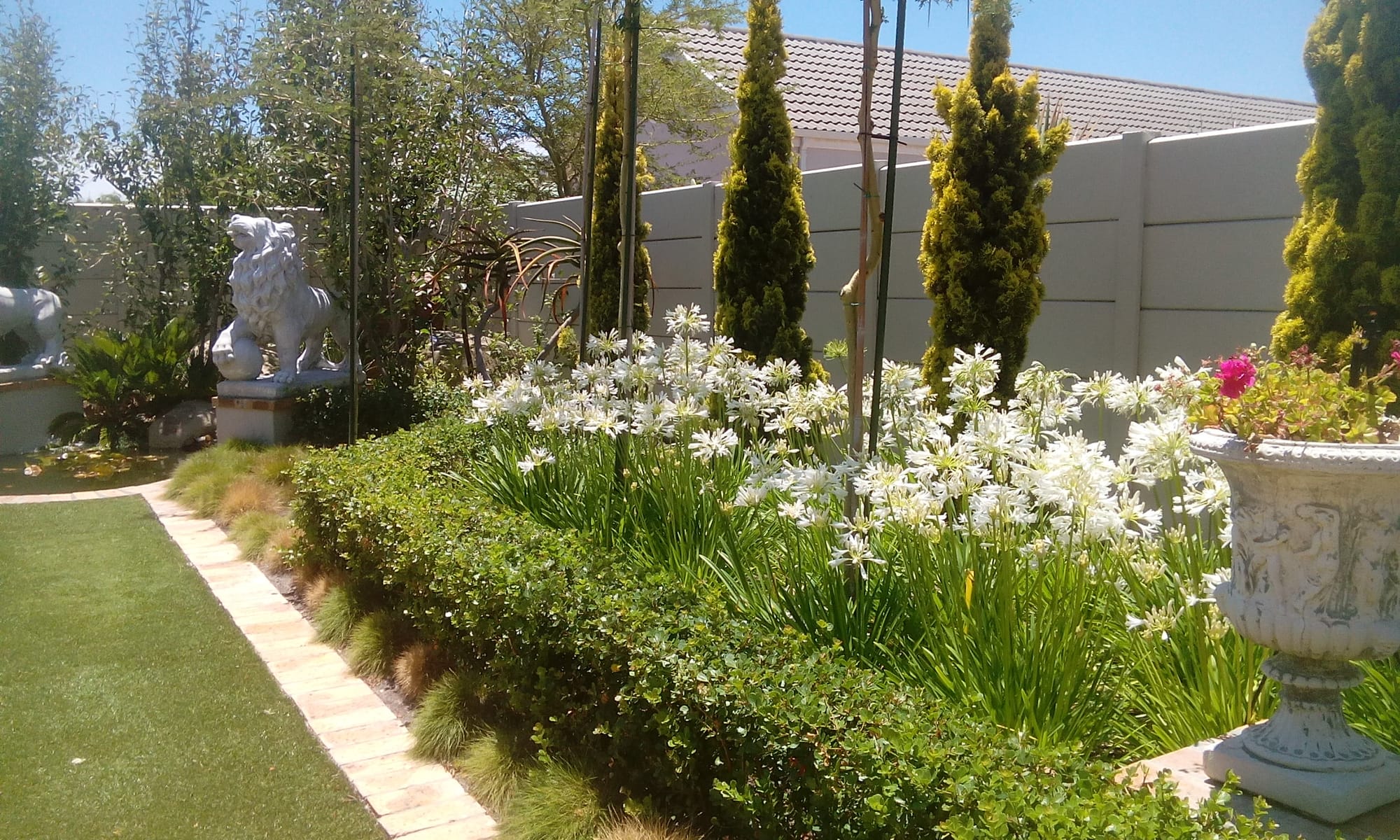 Garden Design Completed Residence Sunningdale Cape Town Plant Plan