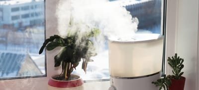 Why You Need A Humidifier And A Dehumidifier? image