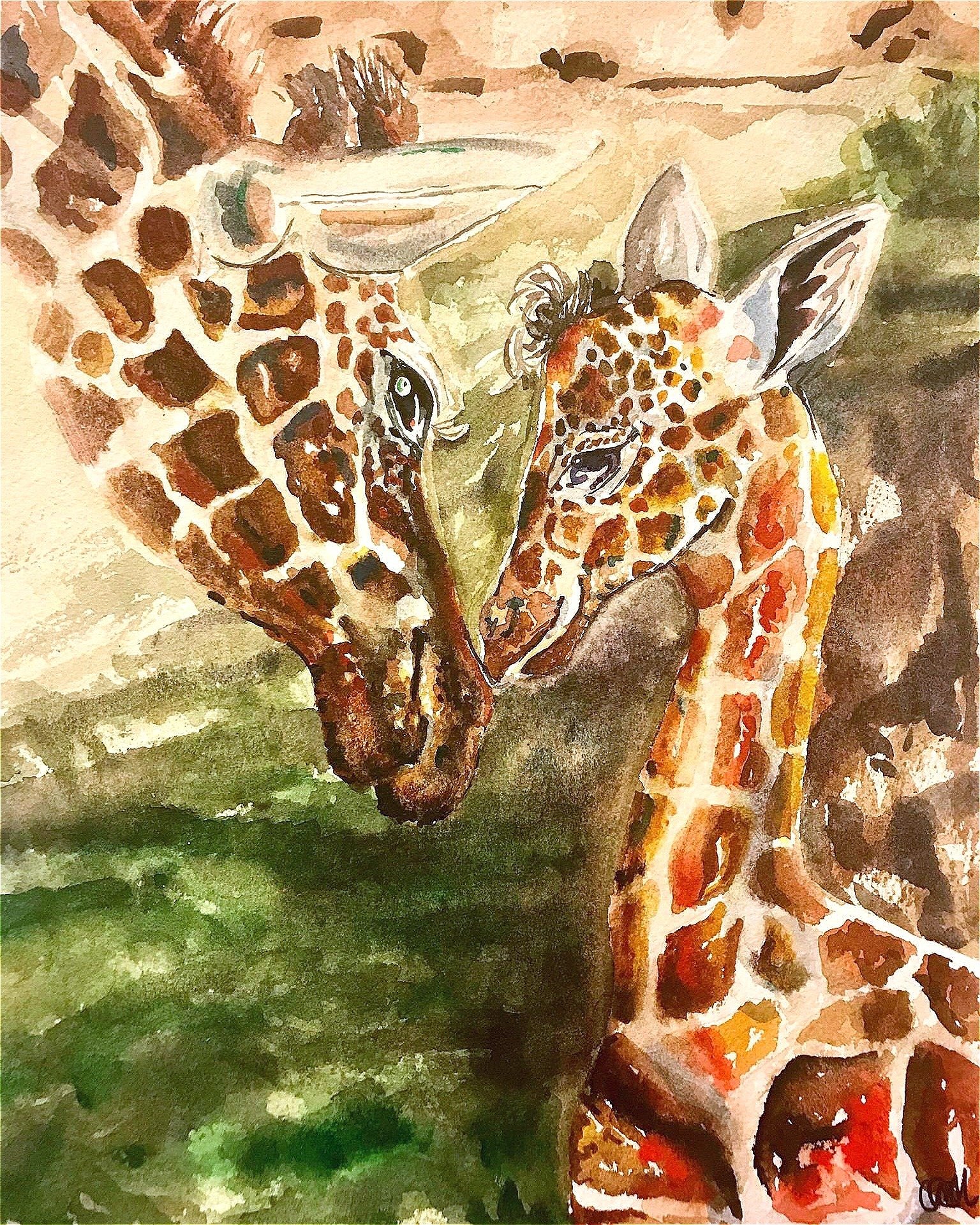 Momma and Baby Giraffe's