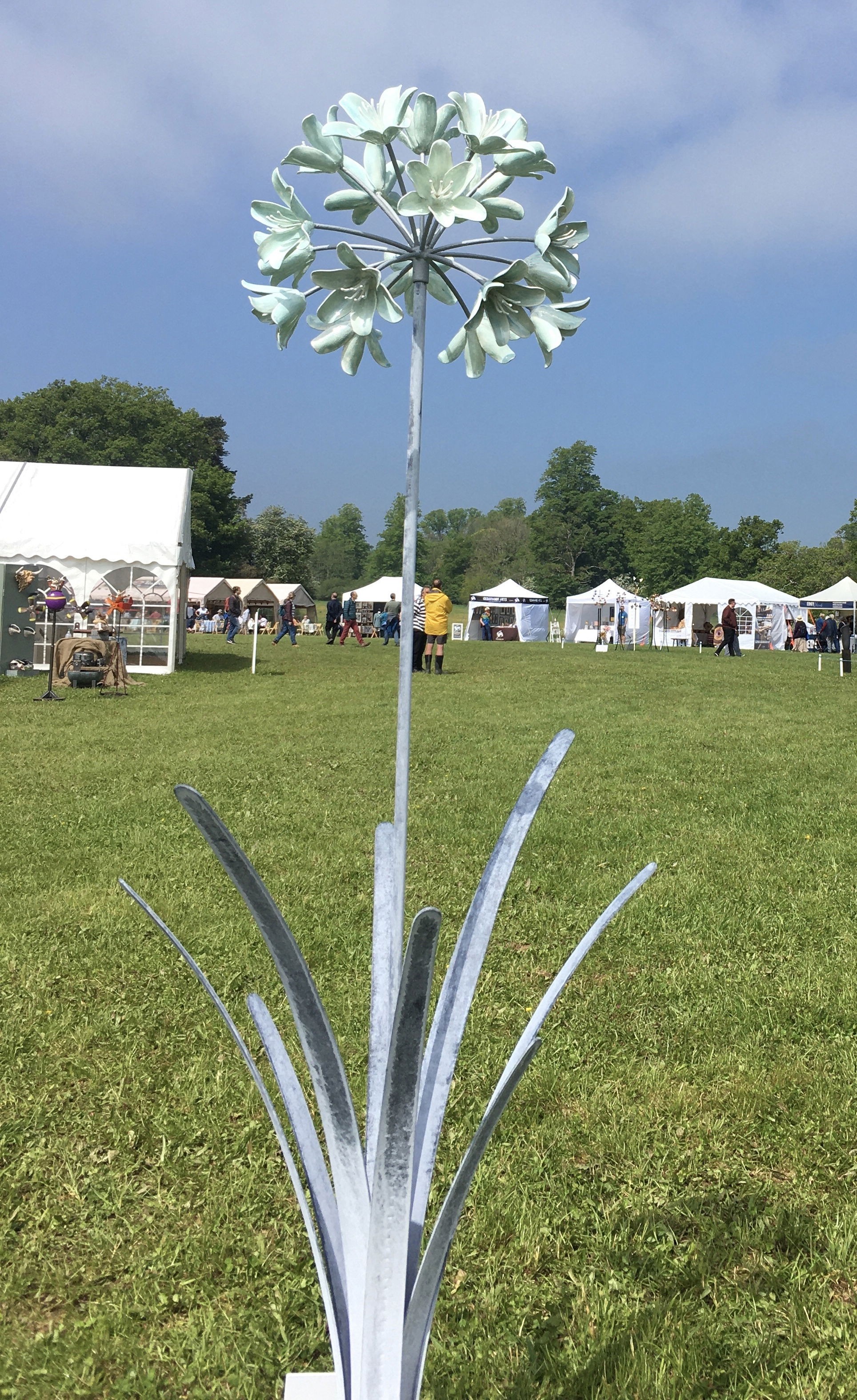 Agapanthus Blue Flowers