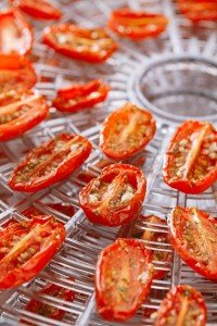 The Benefits of Using a Food Dehydrator image