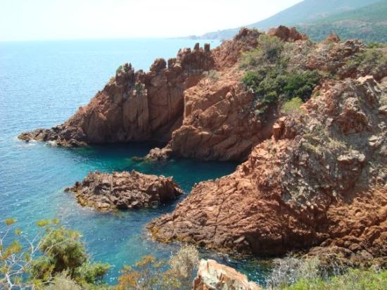 Beach in the Esterel
