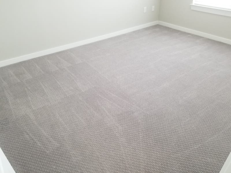 Carpet Deep Cleaning