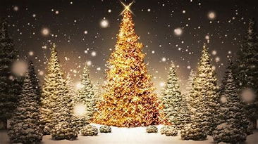 Marché de noël à Saint Saëns