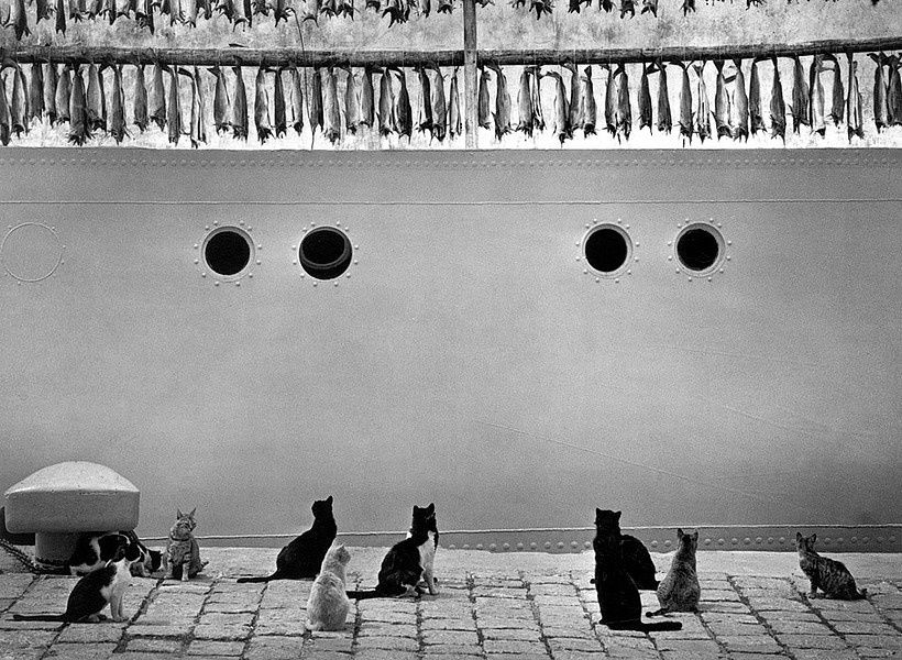 Pentti Sammallahti - Iceland 1980