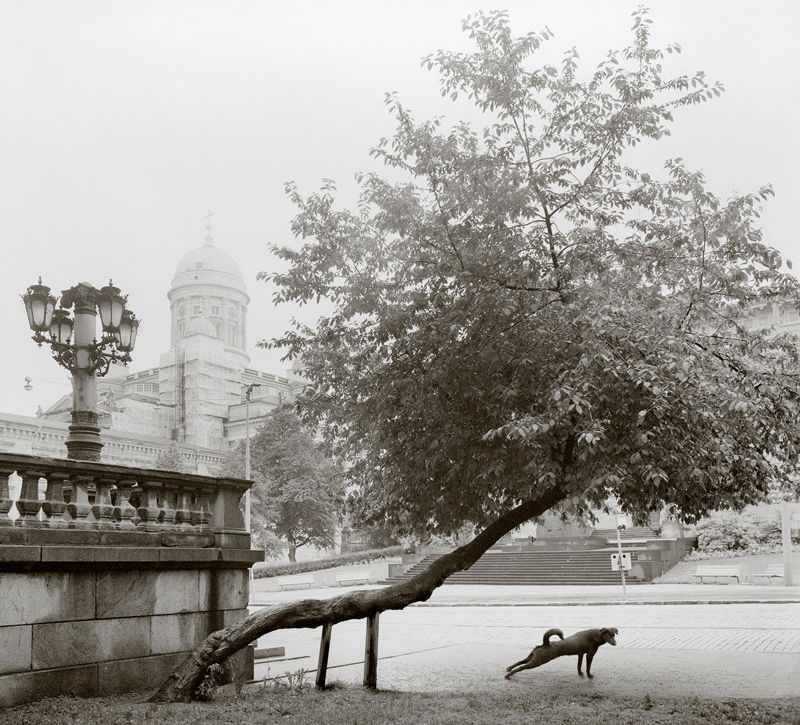 Pentti Sammallahti - Dog stretching, Helsinki, Finland 1982