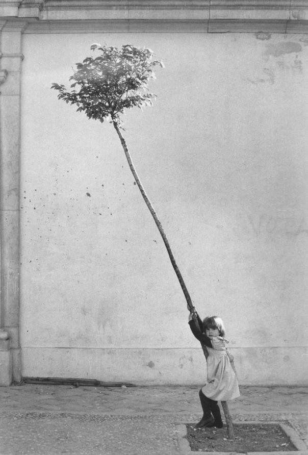 Sabine Weiss - Petite fille, petit arbre, Espagne 1981