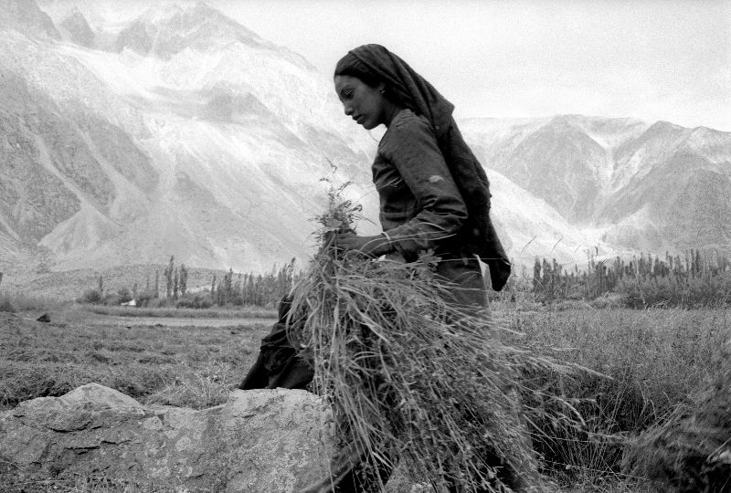 Marie Dorigny - Le fourrage est ramassé pour le bétail au pied de l'Himalaya, Vallée de Suru, Cachemire 2002
