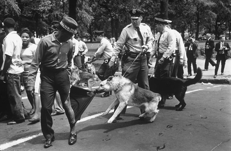 Charles Moore - A police dogs attacking protesters in Birmingham, Alabama, in 1963