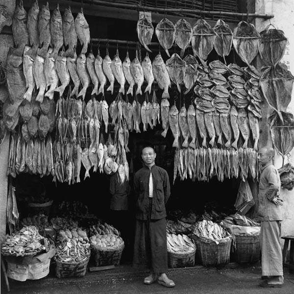Hedda Morrison - Fish and Hanging Dried Fish, Eastern Districts, Hong Kong 1946