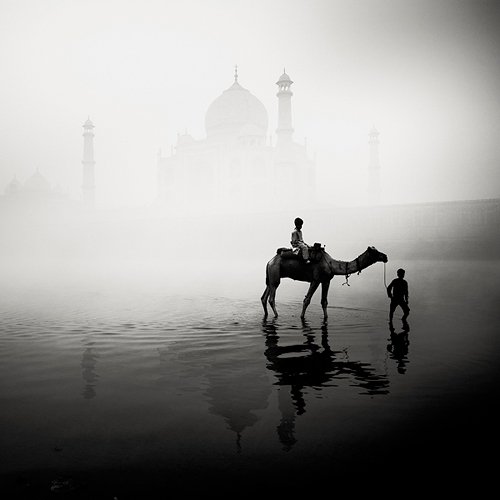 Josef Hoflehner - Taj Mahal, Study 3 - India, 2007