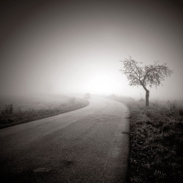 Peter Ižarik - In the fog XI