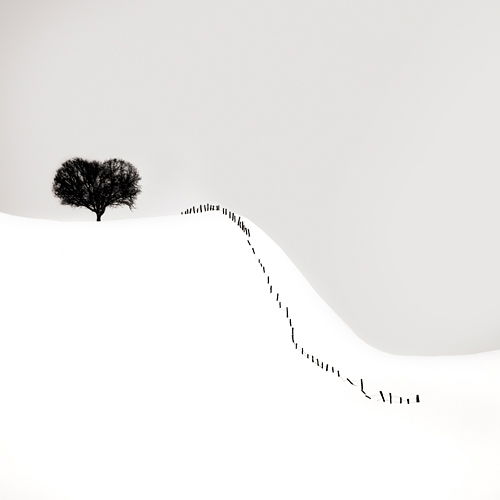 Ebru Sidar - Distant heart