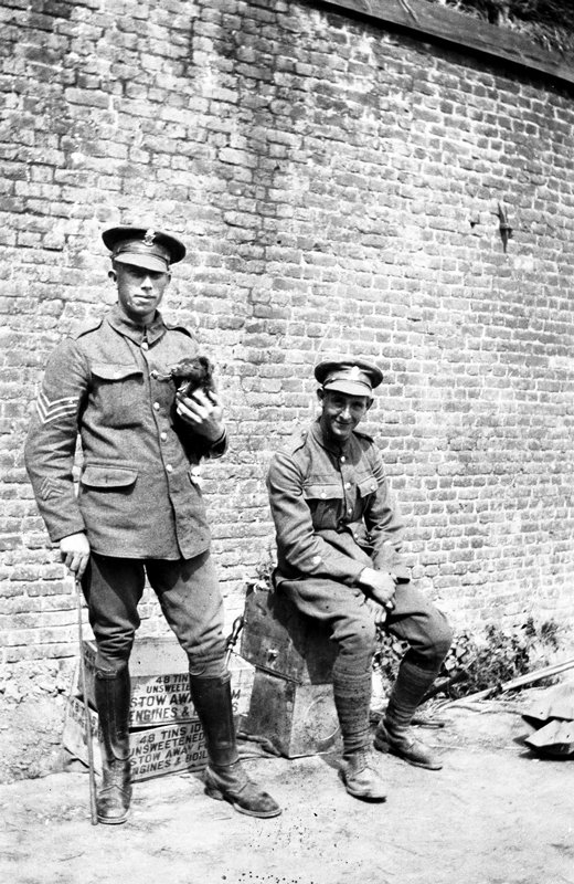 Frantz Adam - Sergent irlandais photographié avec la mascotte, son petit chien, Belgique 1918