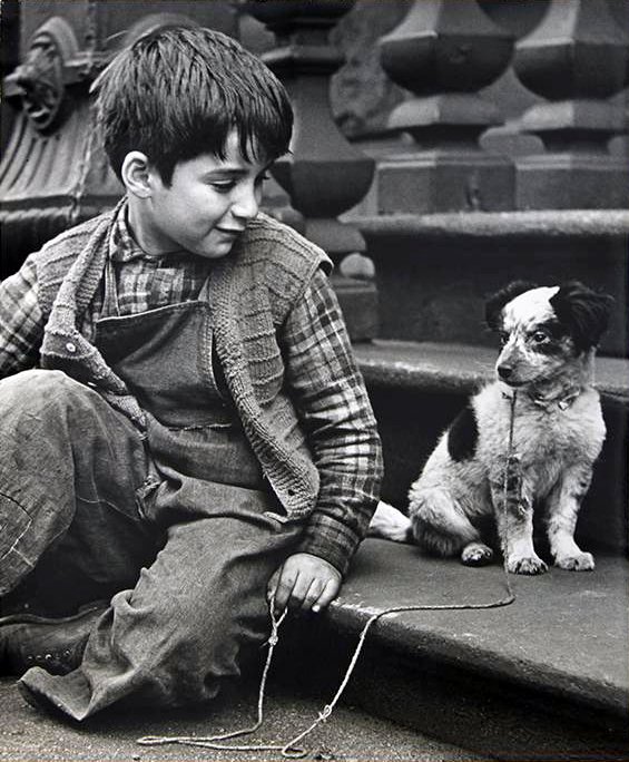 Clemens Kalischer - Boy and dog, New York 1945