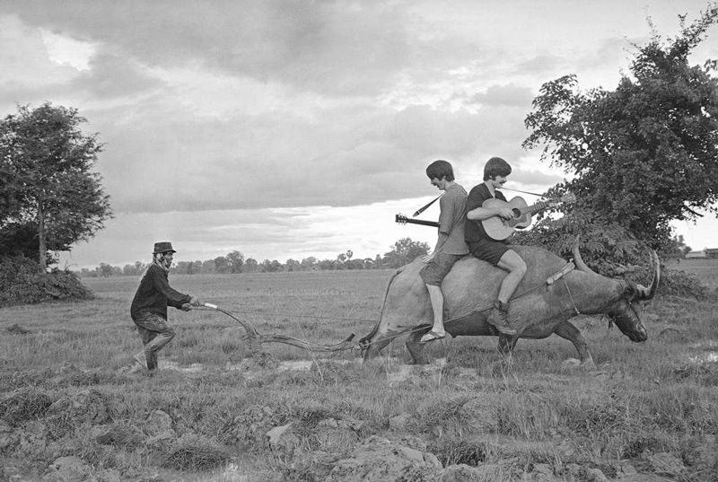 Eddie Adams - Riding a water buffalo while a Laotian plows a rice paddy field not far from their home at Vientiane, Laos 1968