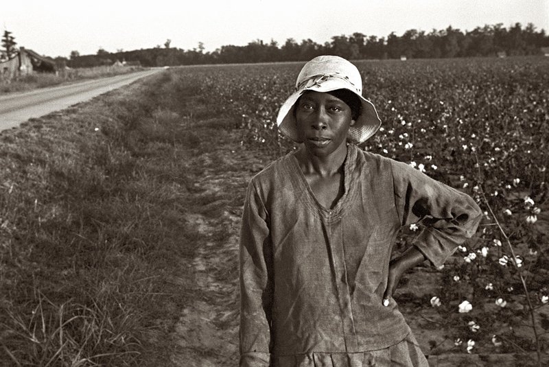 Ben Shahn - Cotton picker in Pulaski County, Arkansas 1935