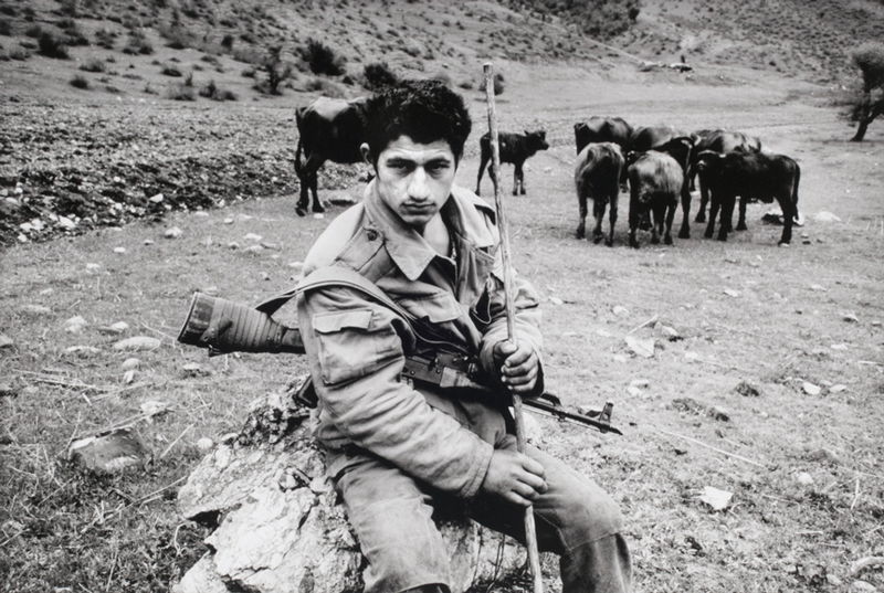 Stanley Greene - Armenian soldiers guarding stolen Azeri cattle in No Man's Land of Shotli, Azerbaijan 1998