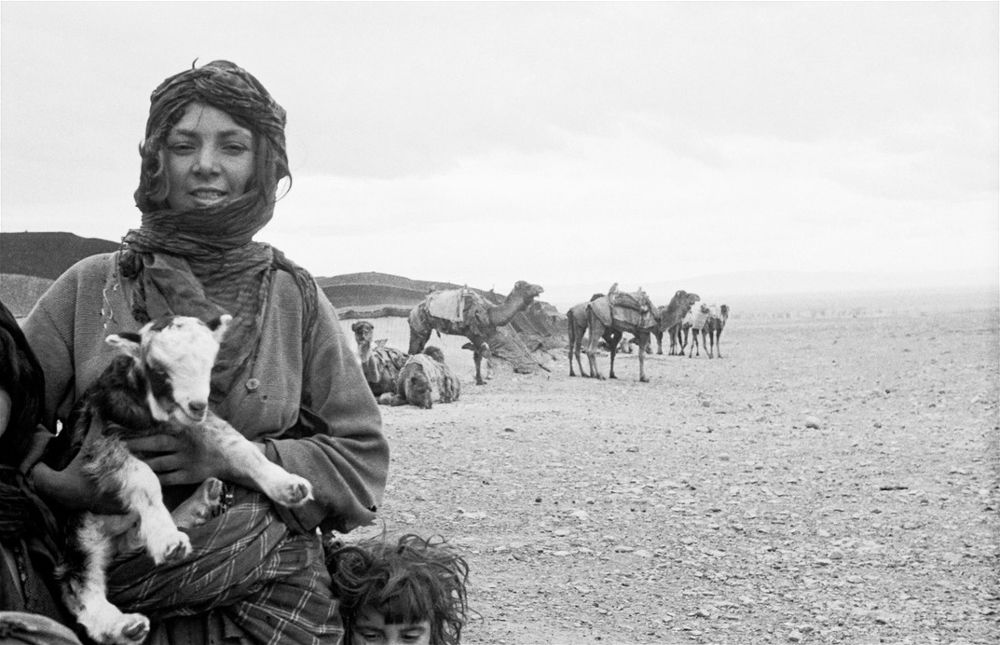 Inge Morath - Nomads, Near Karaj, Iran 1956