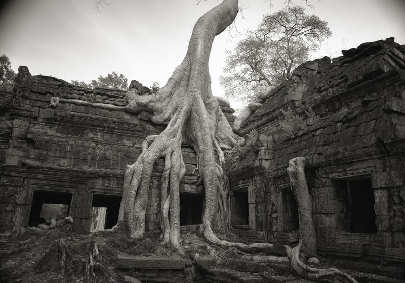 Kenro Izu - Angkor, Cambodia 1993