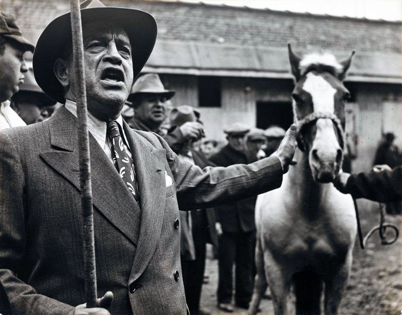 Morris Engel - Brooklyn Horse Auction, New York City 1947