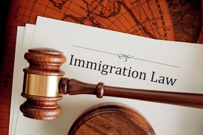 Incredible Tips When Choosing The Right Immigration Solicitor In Tampa image