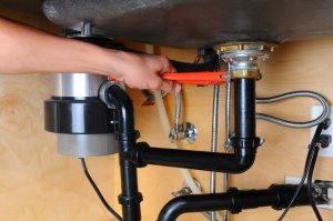 Finding the Perfect Garbage Disposal Gadget image