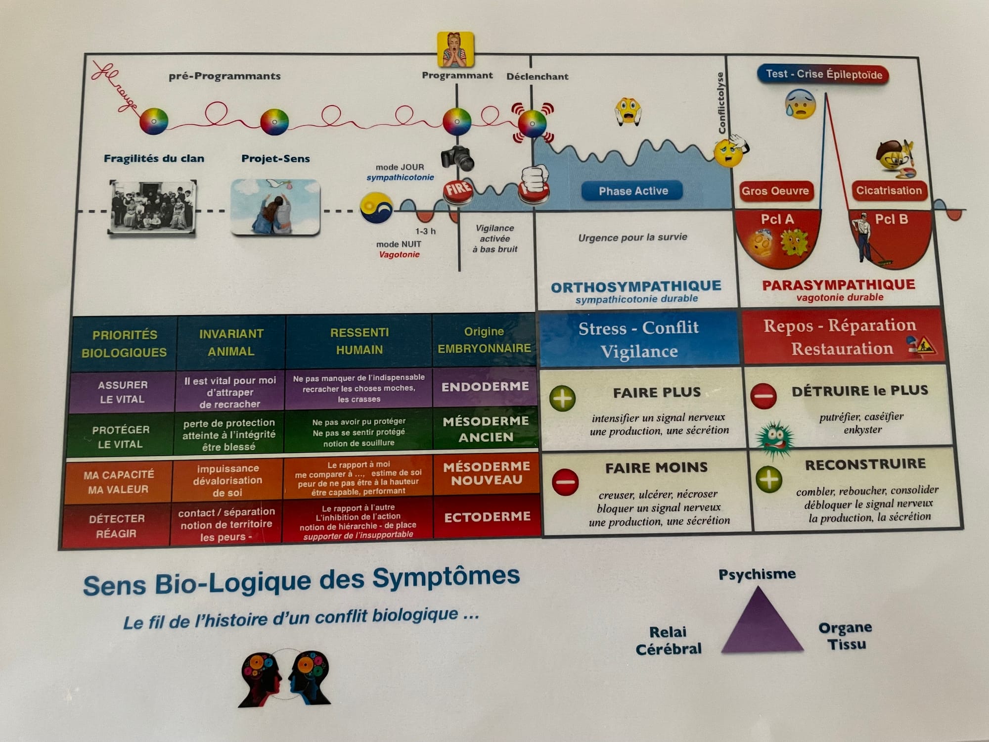 LE FIL DE L'HISTOIRE D'UN CONFLIT BIOLOGIQUE