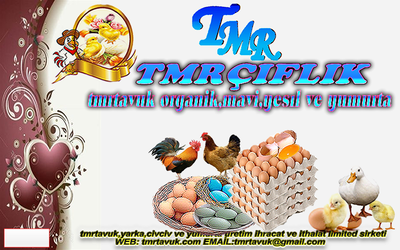 Genel Bilgiler Www Tmrtavuk Com Genel Bilgiler Www Tmrtavuk Com