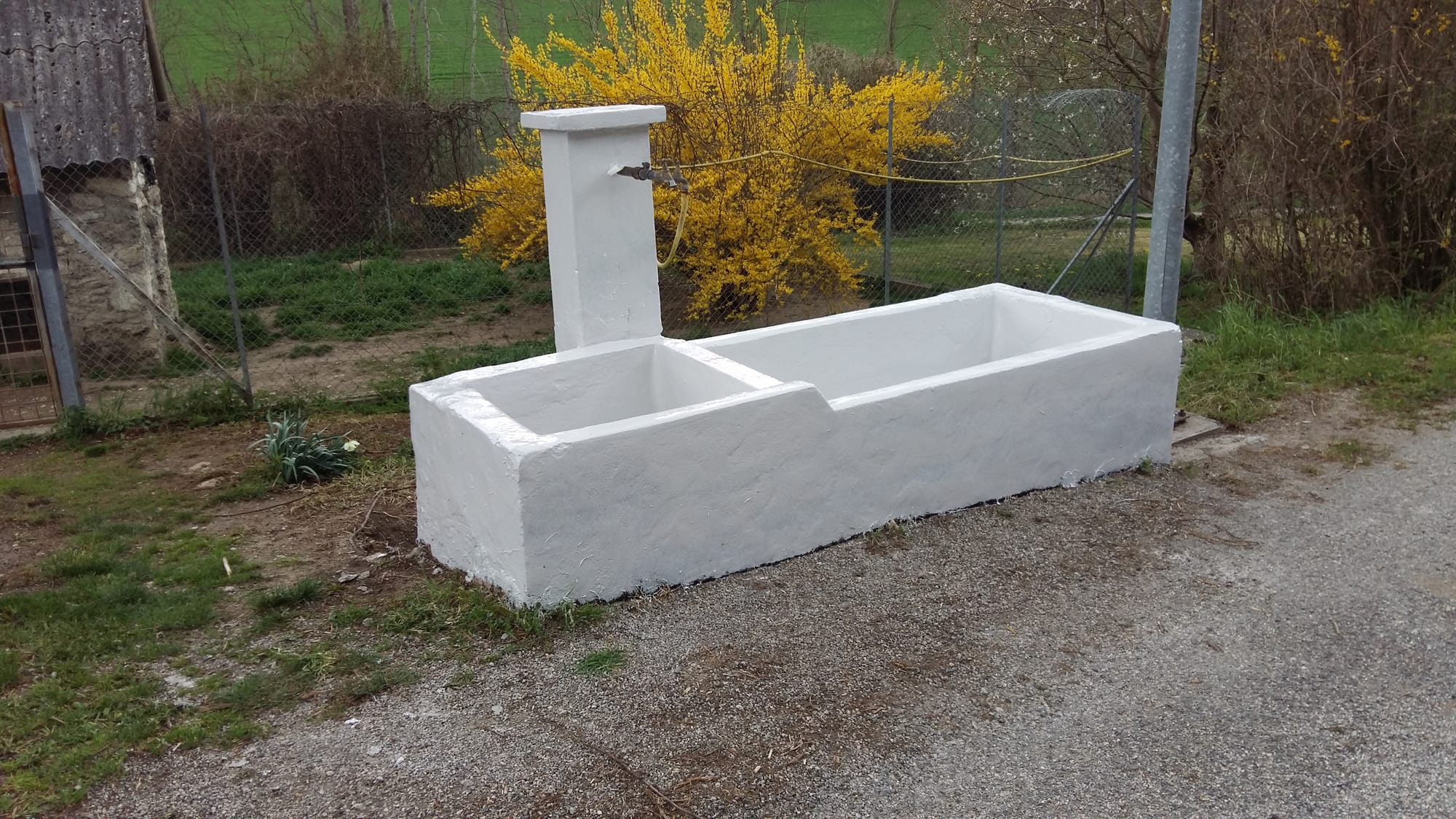 Réfection de bassin