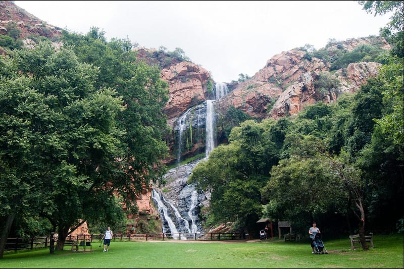 Ruimsig Botanical Gardens Wedding | Fasci Garden