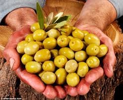 BIO - Olives Ι Βιολογικές Ελιές