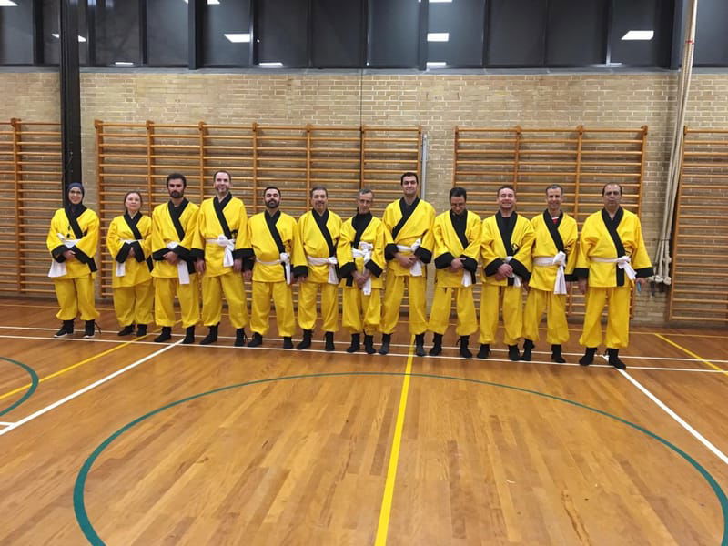 Kung-Fu event besøg fra udlandet