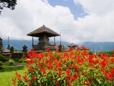 Why To Opt For the Bali Tours Packages? image