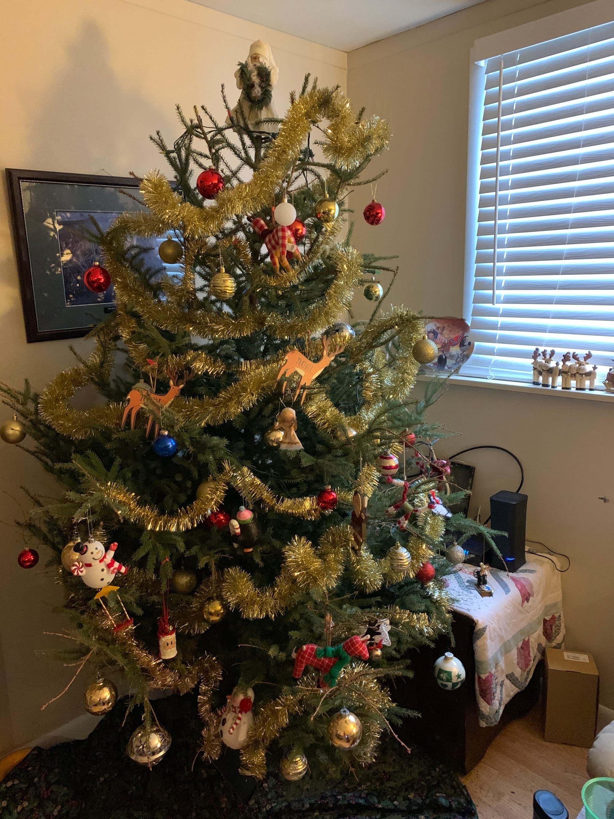 Oh,  Christmas Tree!