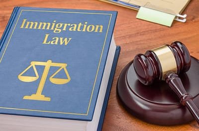 All You Need to Know About Immigration Law image