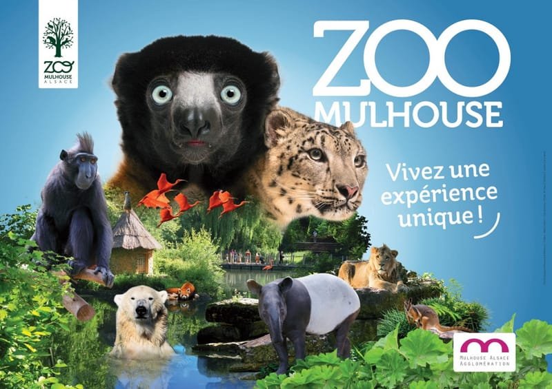 Sortie Zoo de Mulhouse - Accueil de Loisirs -