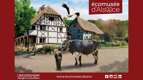 Sortie Ecomusée d'Alsace- Accueil de Loisirs -