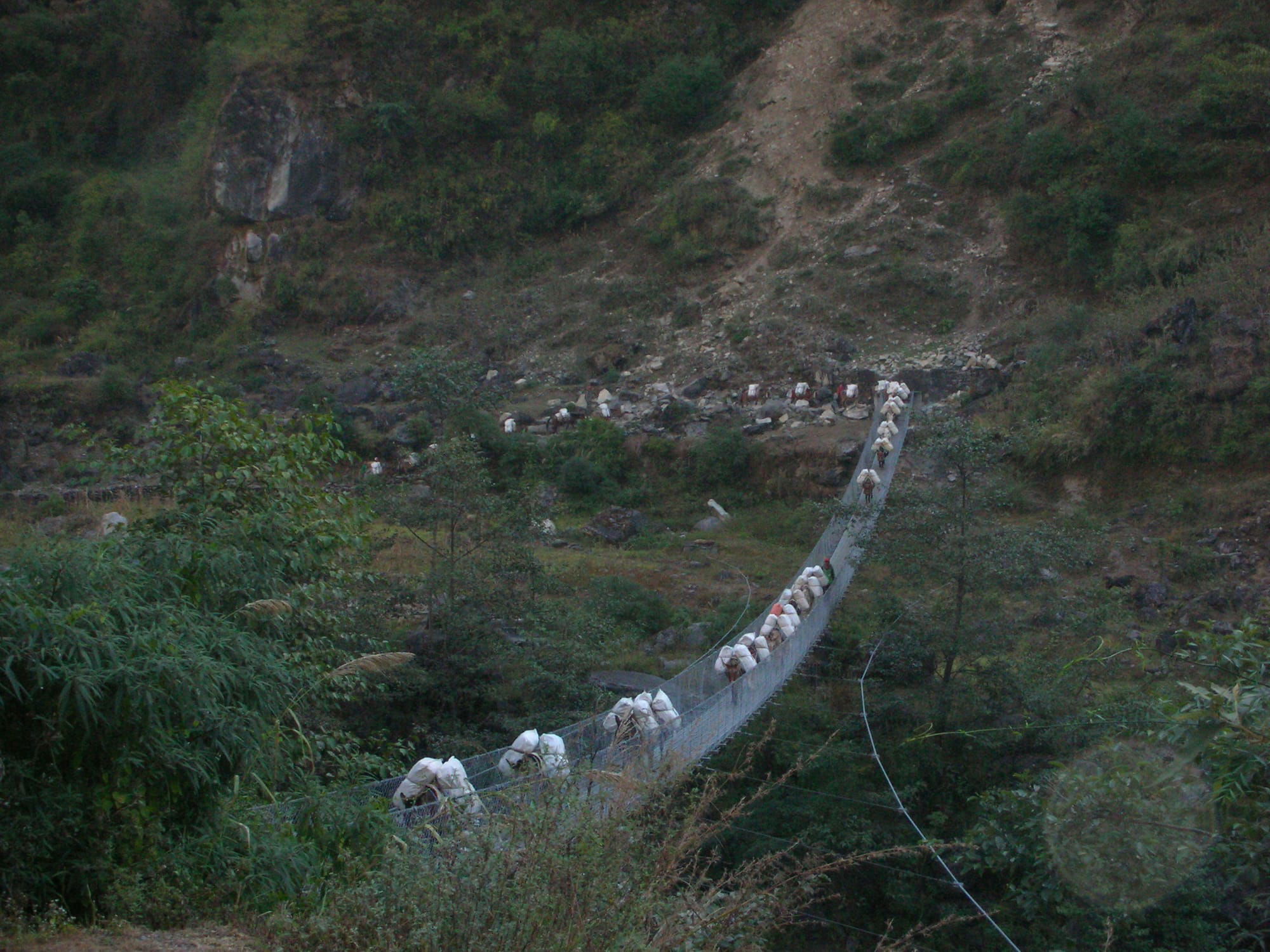 A PONY TRAIN ON A SUSPENSION BRIDGE