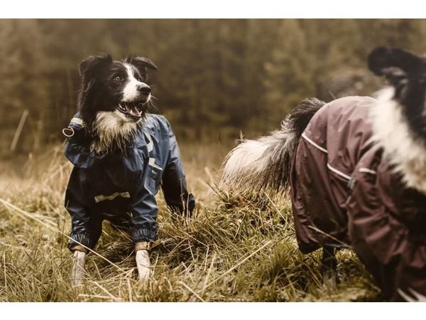 Hurtta Slush Combat Suit – Dogs That Hike