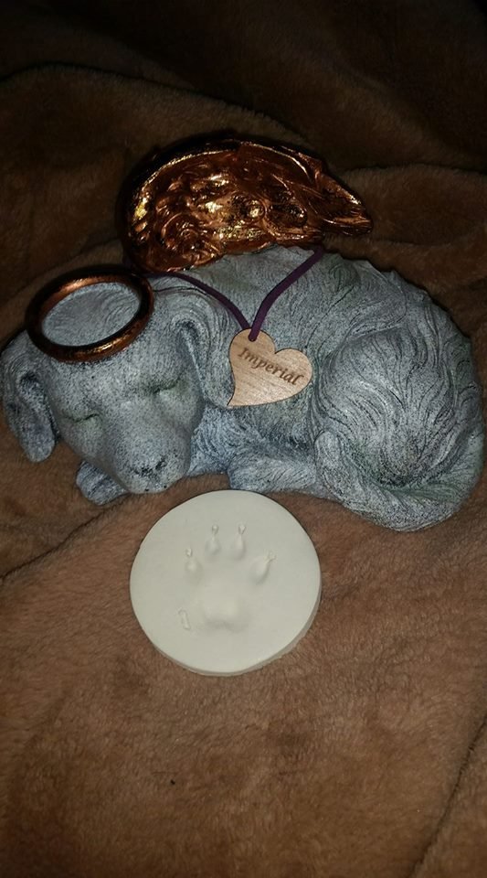 Imperial home with me in his beautiful urn and paw print