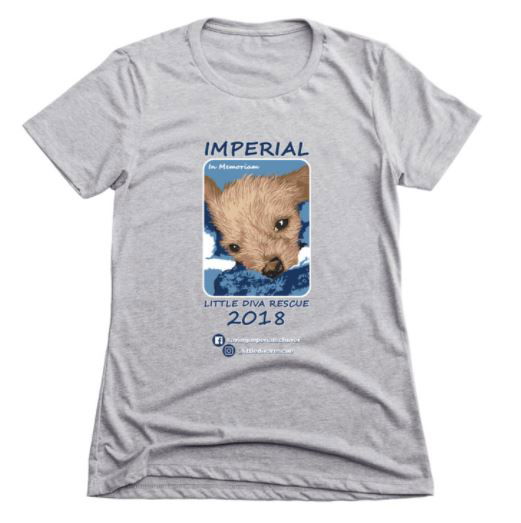 Saving Imperial t-shirt memorial campaign